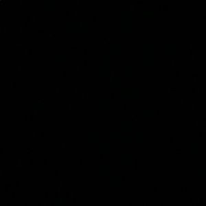 Meet your Posher, Hien